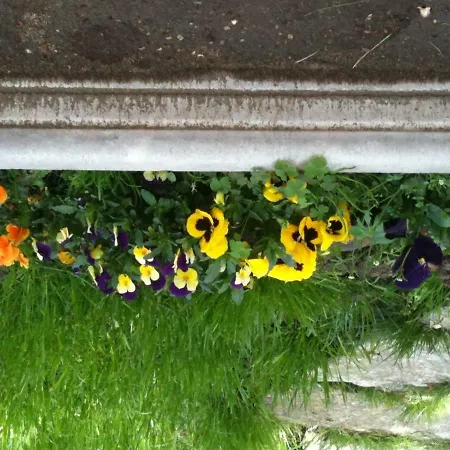 Oda ve Kahvaltı Il Castello Maggiore Con Terrazza Cossogno