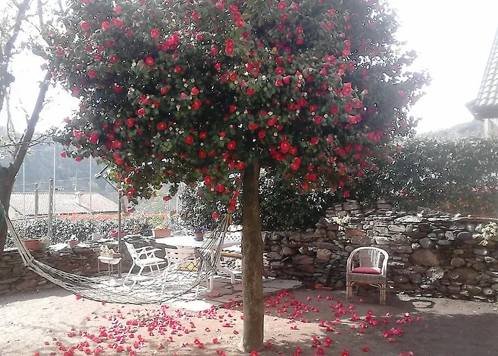 Il Castello Maggiore Con Terrazza