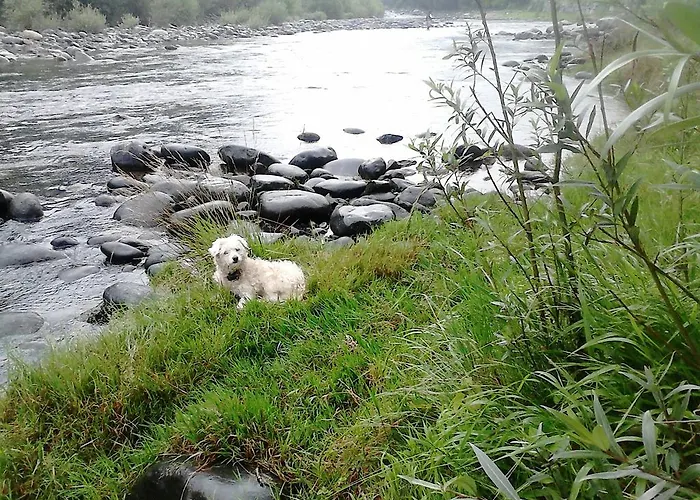 Il Castello Maggiore Con Terrazza