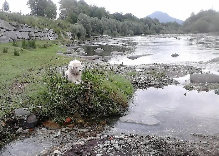 Oda ve Kahvaltı Il Castello Maggiore Con Terrazza Cossogno
