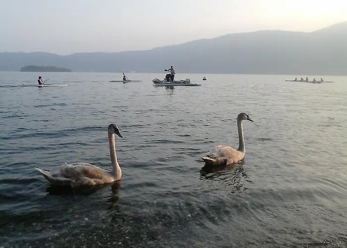 Oda ve Kahvaltı Il Castello Maggiore Con Terrazza 3*