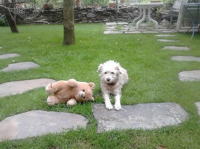 Oda ve Kahvaltı Il Castello Maggiore Con Terrazza Cossogno