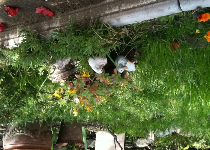 Il Castello Maggiore Con Terrazza Cossogno